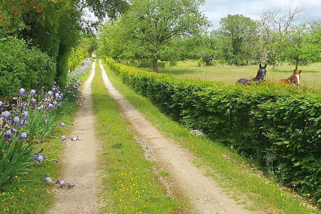 Gite A Montvalent, Proche Rocamadour, Adult Only 0*, Montvalent